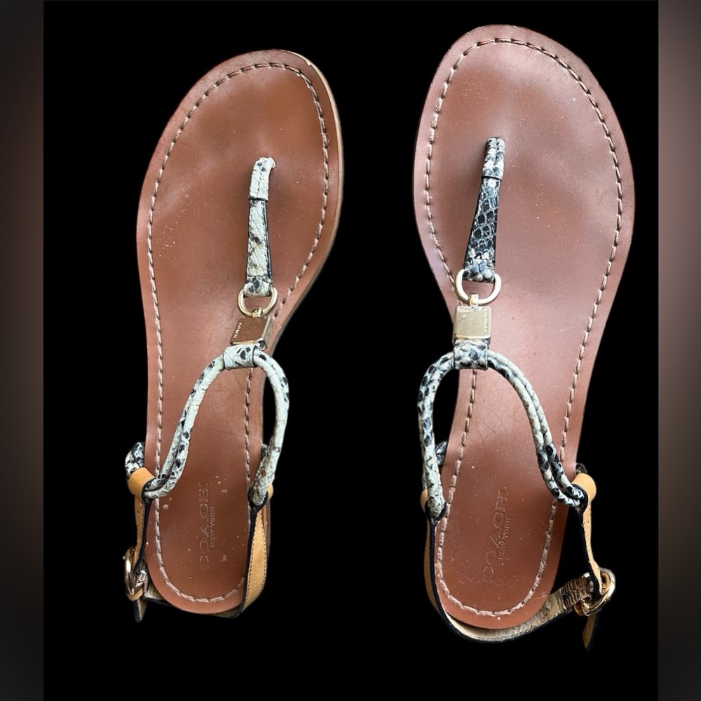 Coach Charlene Snake Print & Gold Thong Sandals Coachella Boho 🌵☀️🕶️